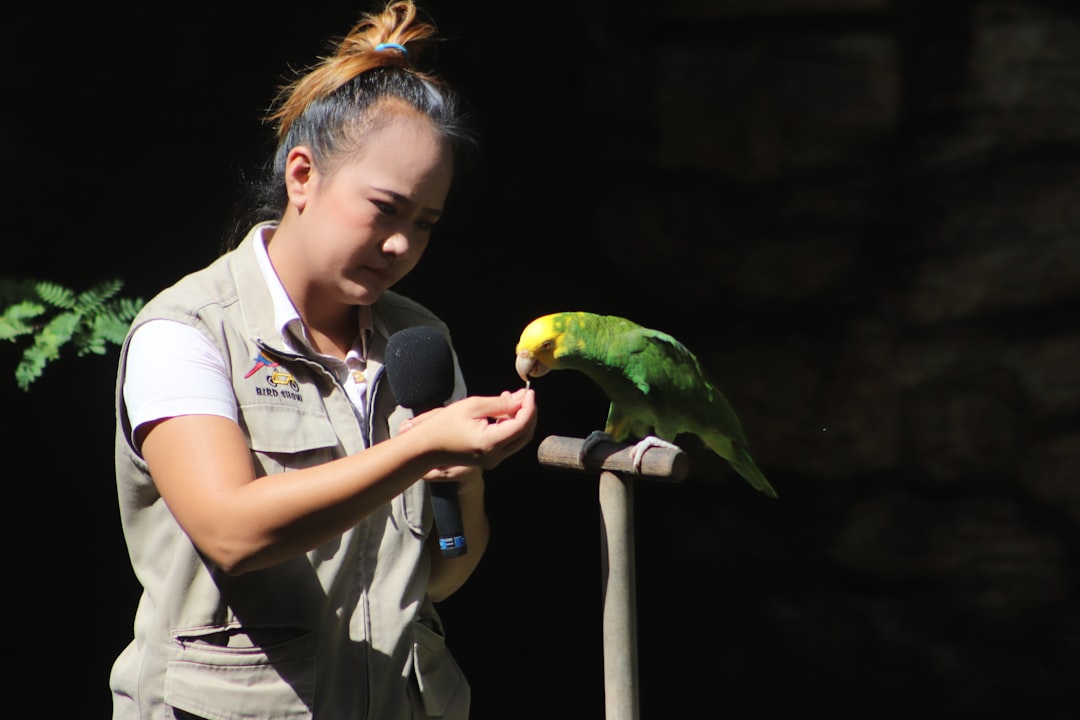Monkey enrichment activity